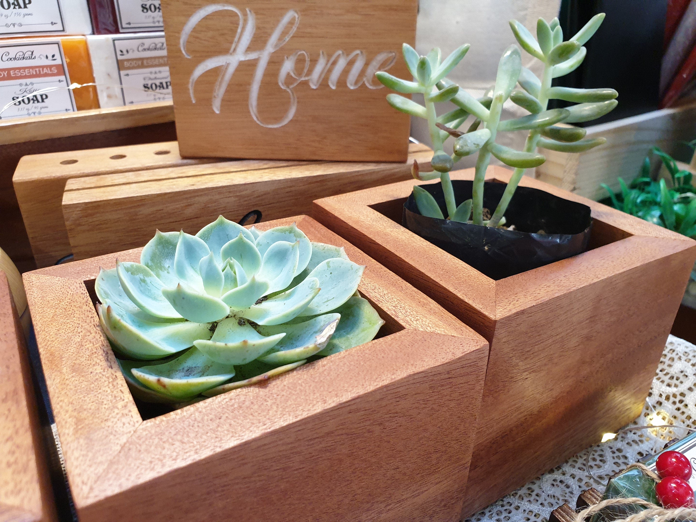 Mahogany Planters